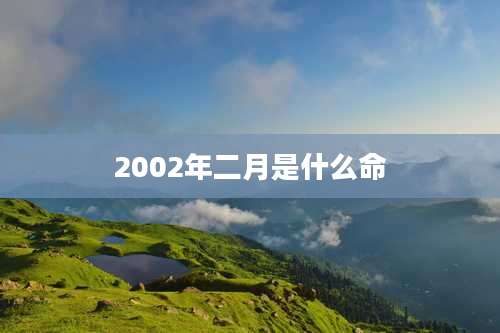 2002年二月是什么命
