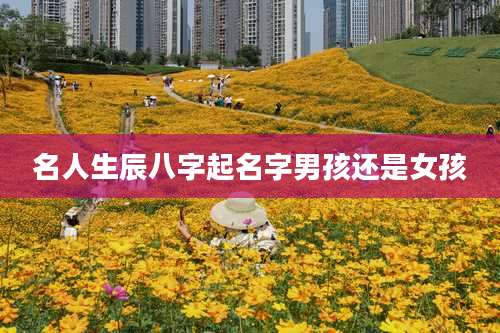 名人生辰八字起名字男孩还是女孩
