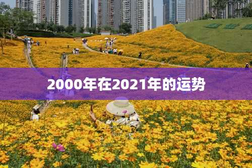 2000年在2021年的运势