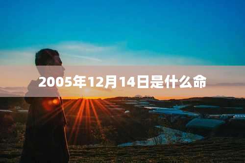 2005年12月14日是什么命