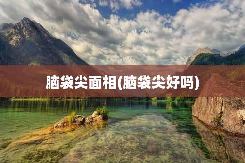 脑袋尖面相(脑袋尖好吗)