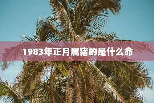 1983年正月属猪的是什么命