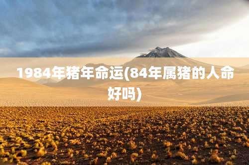 1984年猪年命运(84年属猪的人命好吗)