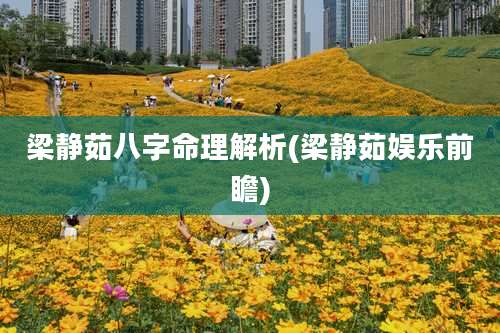 梁静茹八字命理解析(梁静茹娱乐前瞻)