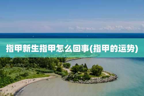 指甲新生指甲怎么回事(指甲的运势)