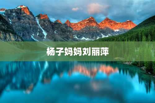 杨子妈妈刘丽萍