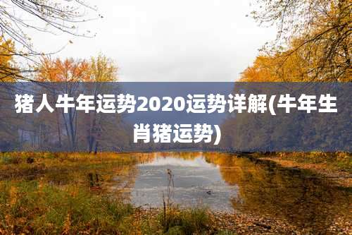 猪人牛年运势2020运势详解(牛年生肖猪运势)