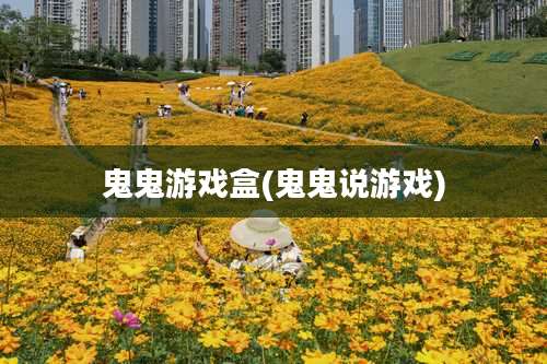 鬼鬼游戏盒(鬼鬼说游戏)