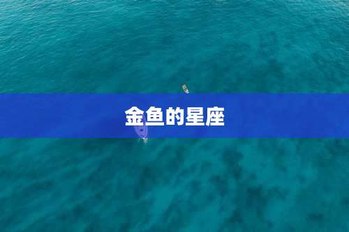 金鱼的星座