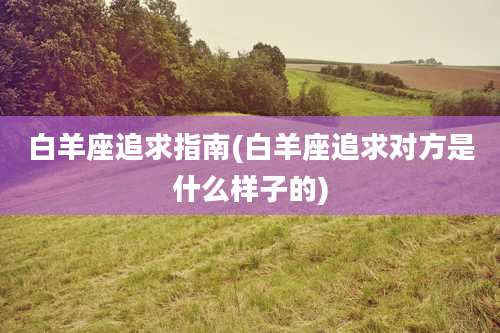 白羊座追求指南(白羊座追求对方是什么样子的)