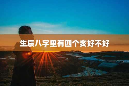 生辰八字里有四个亥好不好