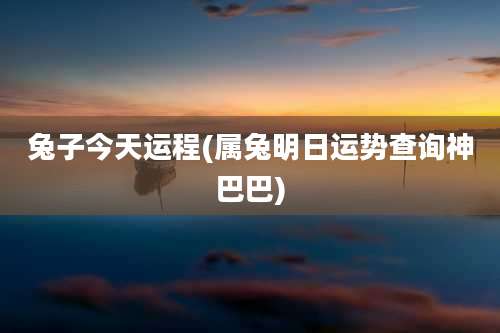 兔子今天运程(属兔明日运势查询神巴巴)