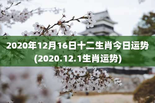2020年12月16日十二生肖今日运势(2020.12.1生肖运势)
