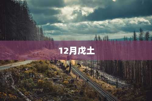 12月戊土