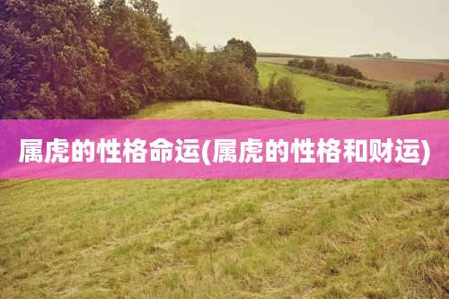 属虎的性格命运(属虎的性格和财运)