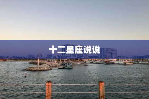 十二星座说说