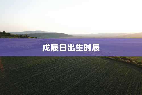 戊辰日出生时辰