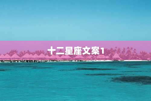 十二星座文案1