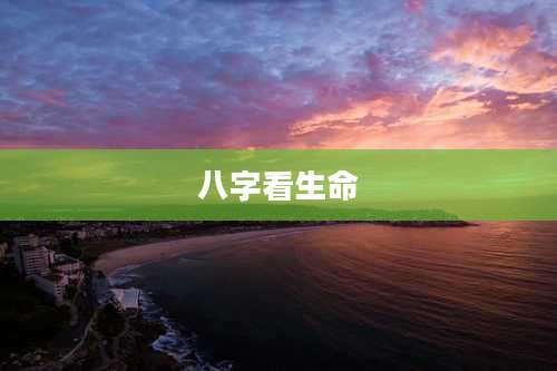 八字看生命