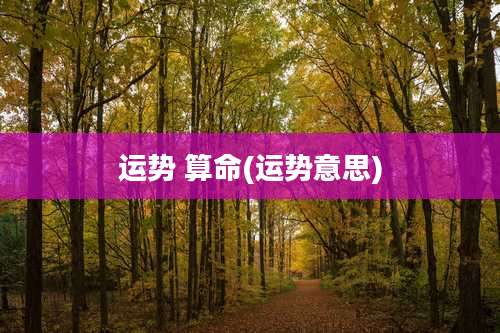 运势 算命(运势意思)