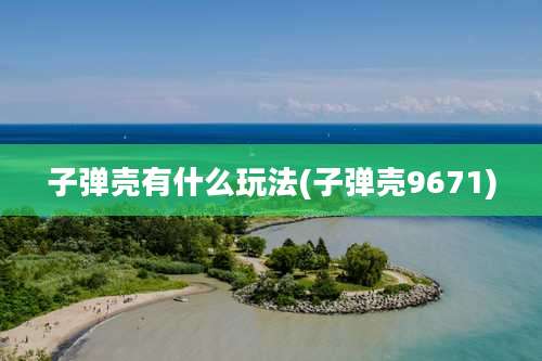 子弹壳有什么玩法(子弹壳9671)