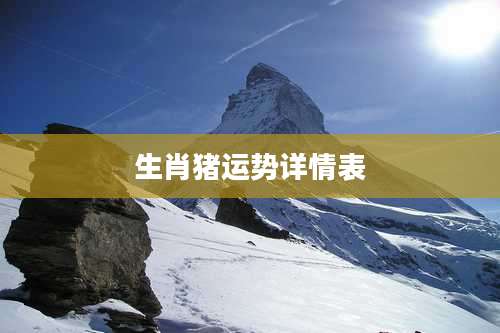 生肖猪运势详情表