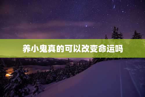 养小鬼真的可以改变命运吗