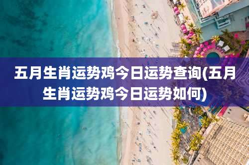 五月生肖运势鸡今日运势查询(五月生肖运势鸡今日运势如何)