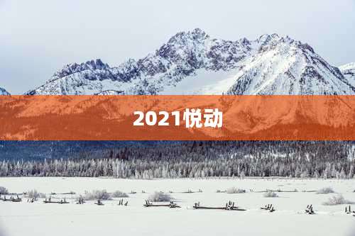2021悦动