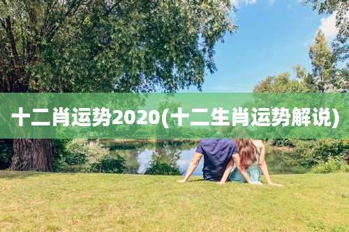 十二肖运势2020(十二生肖运势解说)