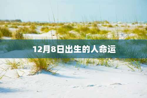 12月8日出生的人命运
