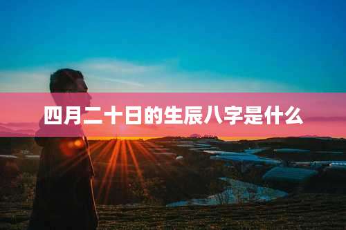 四月二十日的生辰八字是什么