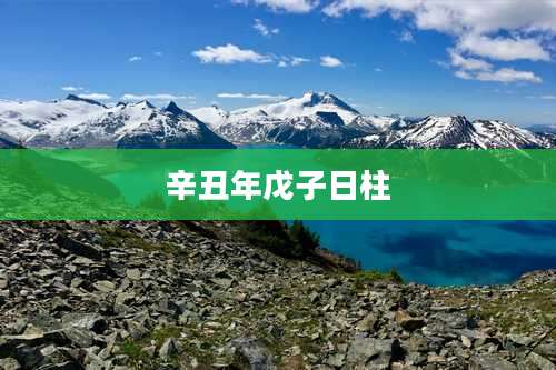 辛丑年戊子日柱