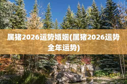 属猪2026运势婚姻(属猪2026运势全年运势)