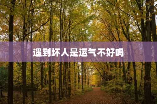 遇到坏人是运气不好吗