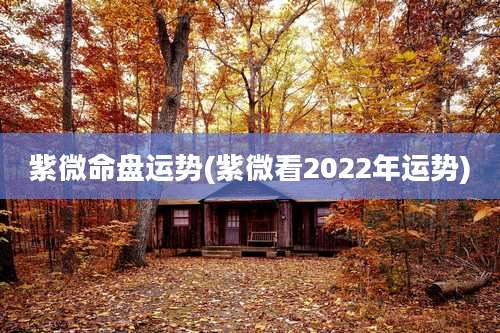 紫微命盘运势(紫微看2022年运势)