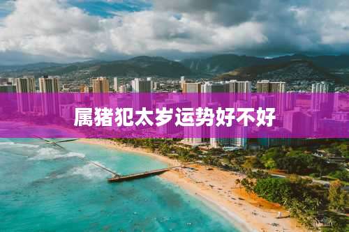 属猪犯太岁运势好不好