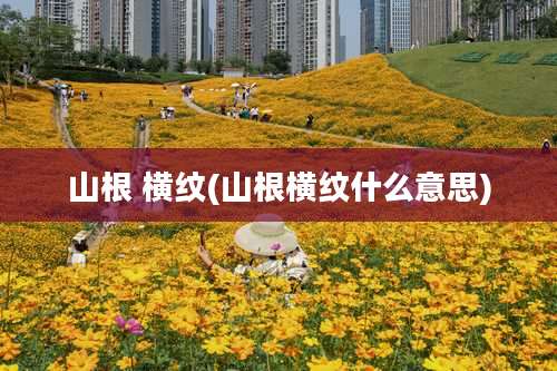 山根 横纹(山根横纹什么意思)