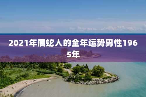 2021年属蛇人的全年运势男性1965年