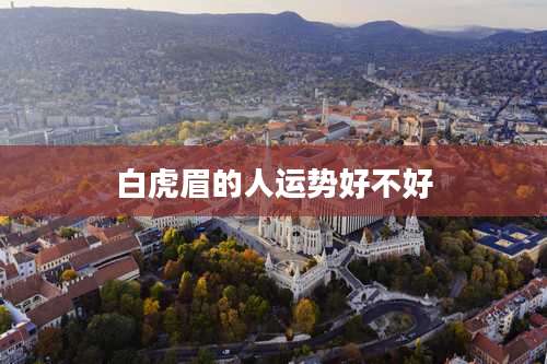 白虎眉的人运势好不好