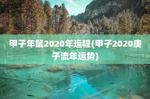 甲子年鼠2020年运程(甲子2020庚子流年运势)