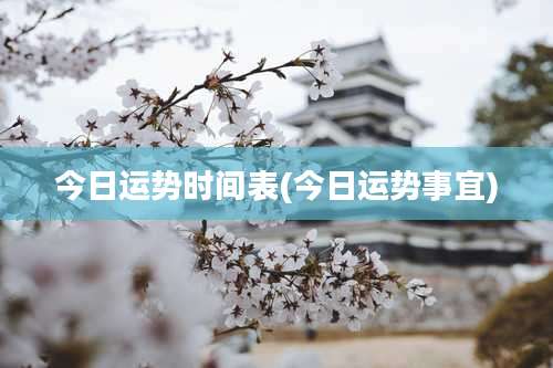 今日运势时间表(今日运势事宜)