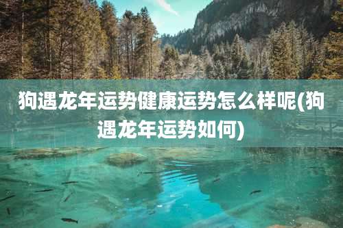 狗遇龙年运势健康运势怎么样呢(狗遇龙年运势如何)