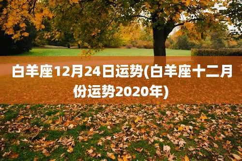 白羊座12月24日运势(白羊座十二月份运势2020年)