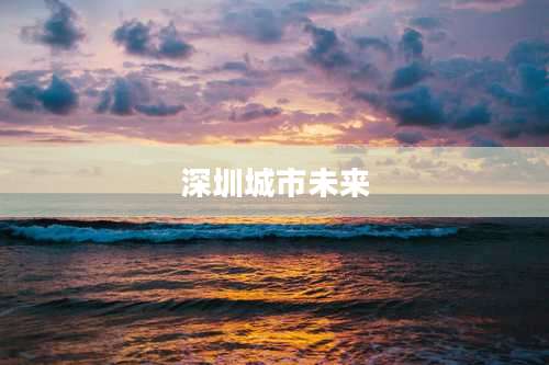 深圳城市未来