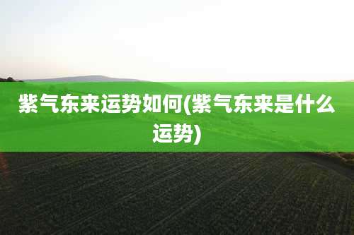 紫气东来运势如何(紫气东来是什么运势)