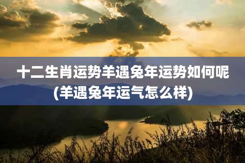 十二生肖运势羊遇兔年运势如何呢(羊遇兔年运气怎么样)