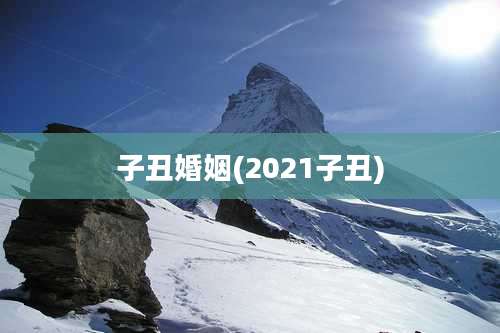 子丑婚姻(2021子丑)