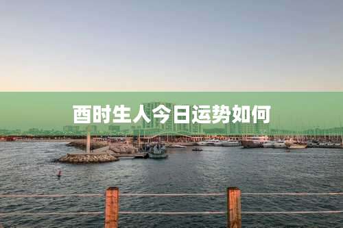 酉时生人今日运势如何