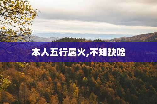 本人五行属火,不知缺啥